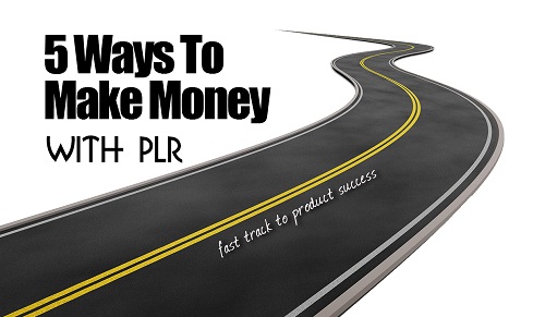 how to make money from plr articles